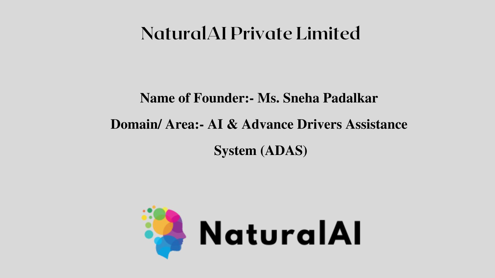 NaturalAI Private Limited